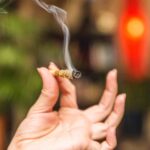 Study: Pot Use Linked With Lower Risk of Liver Disease