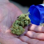 Cannabis Control Commission seeks to expand veterans’ access to medical marijuana