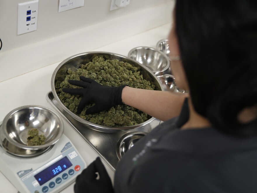 Massachusetts legal marijuana industry faces a reckoning