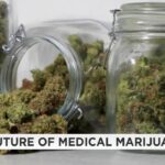 Medical cannabis patients worried shift in oversight will dampen their voices