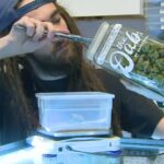 Marijuana sales plummet in Denver: 'Worst city to operate a cannabis business'