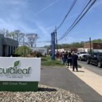 N.J. weed layoffs question industry’s stability | Editorial