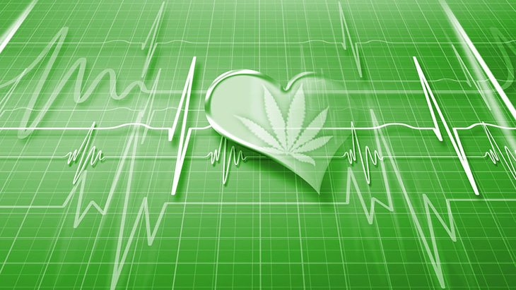 Analysis: Cannabis Use Not Associated with Increased Risk of Either High Blood Pressure or Hypertension