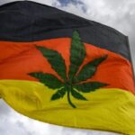 German cabinet approves plans to legalise cannabis for recreational use