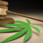 Judge orders former Wrigley-connected medical marijuana company dissolved