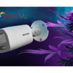 Enhance safety and profitability at cannabis operations with Hikvision’s cutting-edge security solutions