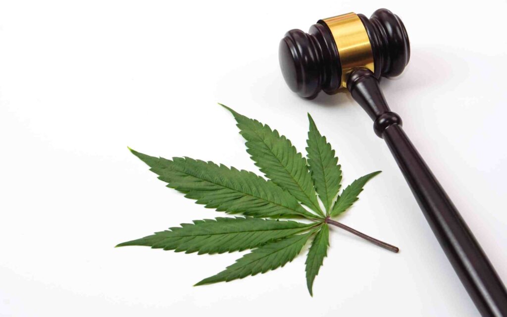 New York Supreme Court Judge Lifts Injunction for Small Number of Cannabis Licenses