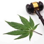 New York Supreme Court Judge Lifts Injunction for Small Number of Cannabis Licenses