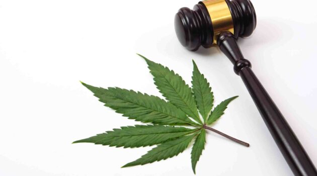 New York Supreme Court Judge Lifts Injunction for Small Number of Cannabis Licenses