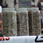 New York's legal cannabis industry, on hold after a court injunction, awaits Friday hearing