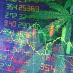 Marijuana MSO Green Thumb to spend up to $50 million on share buybacks
