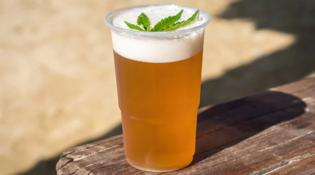 Can Tilray successfully synergize its cannabis, alcohol businesses?