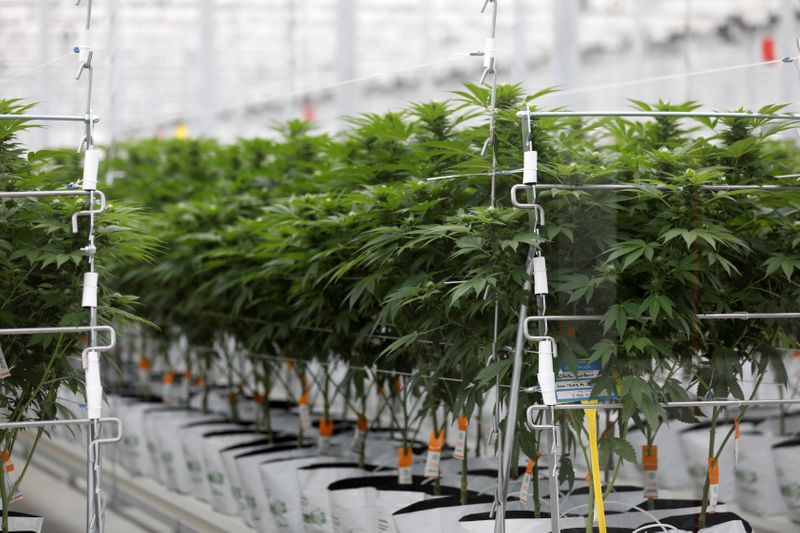 Tilray, Inc. a 'failing cannabis player,' claims short-seller Kerrisdale Capital