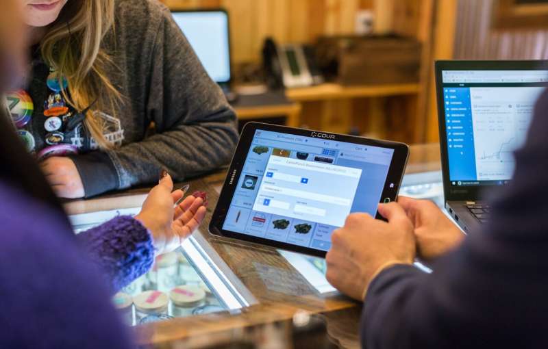 Safety concerns about youth access to online marijuana dispensaries