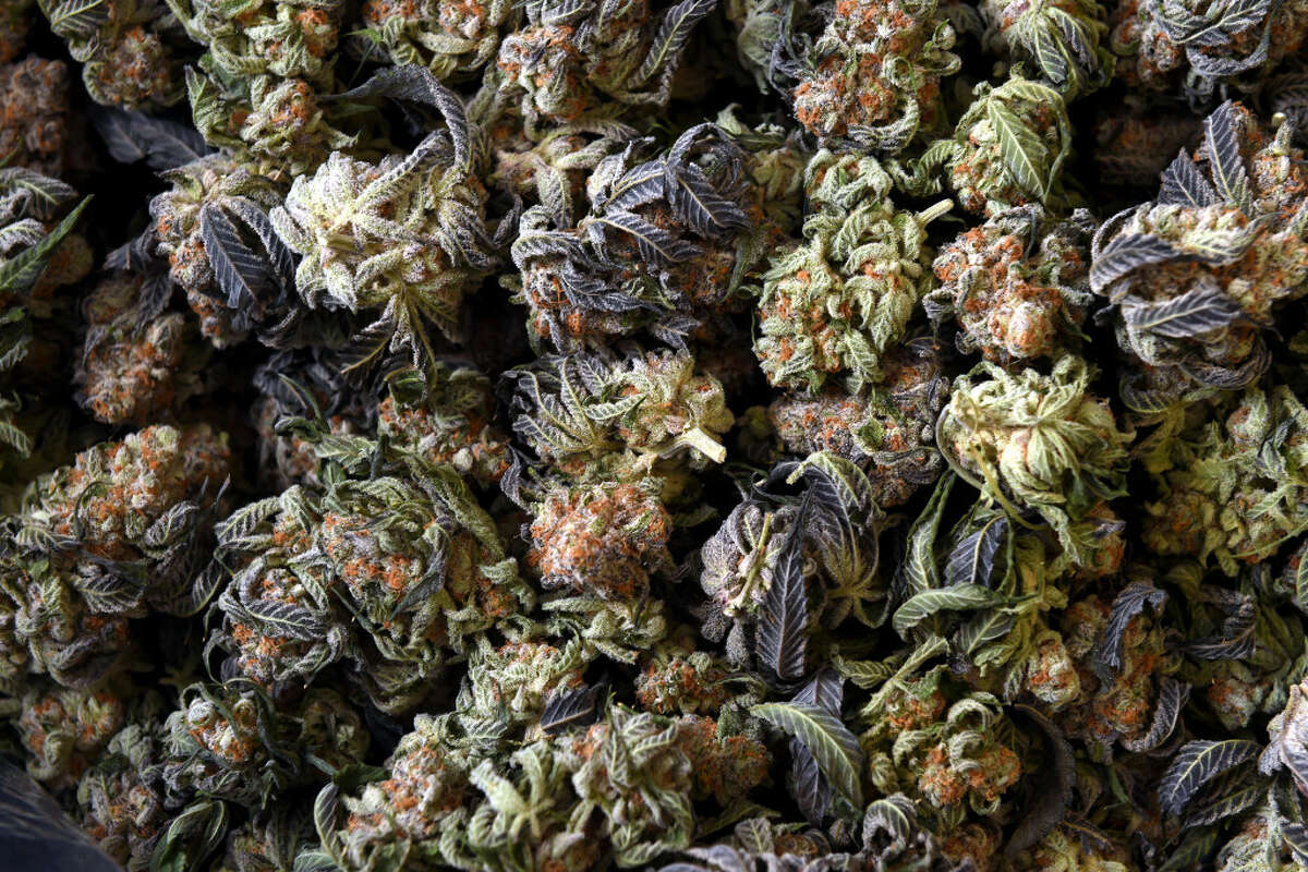 Feds May Reclassify Cannabis As Schedule III, Drawing Praise From ...