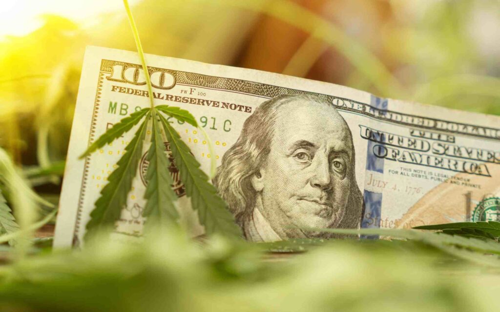 Connecticut Cannabis Sales Continue To Rise in August with $25 Million in Sales