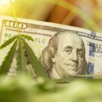 Connecticut Cannabis Sales Continue To Rise in August with $25 Million in Sales