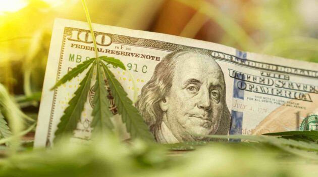 Connecticut Cannabis Sales Continue To Rise in August with $25 Million in Sales