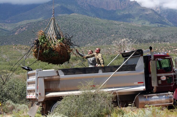 Dude! Your illegal stash of weed is a buzzkill for the environment