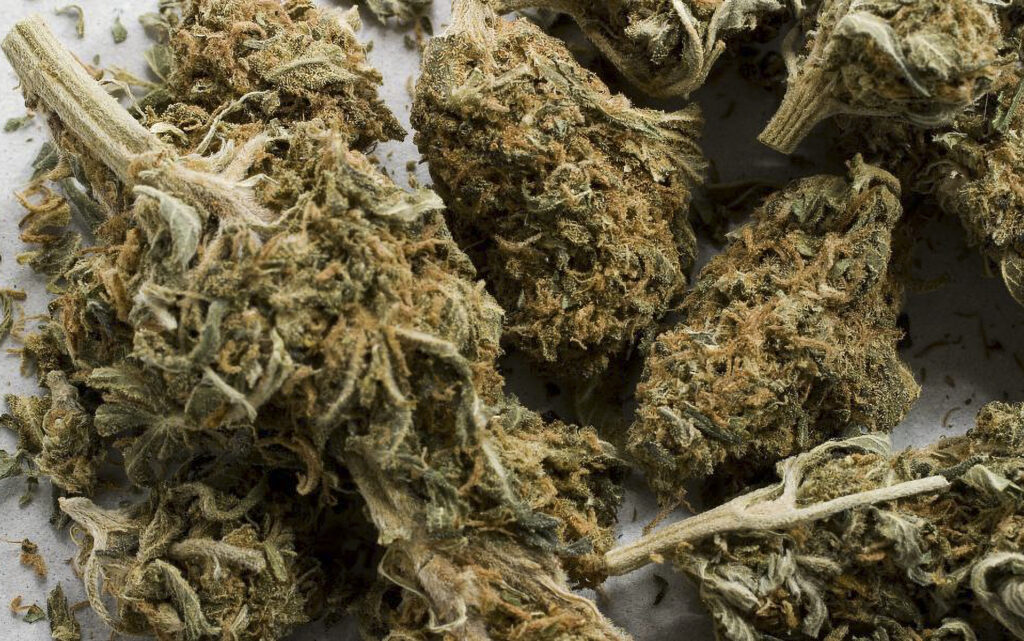 Gov. Newsom vetoes Amsterdam-style cannabis cafes in California
