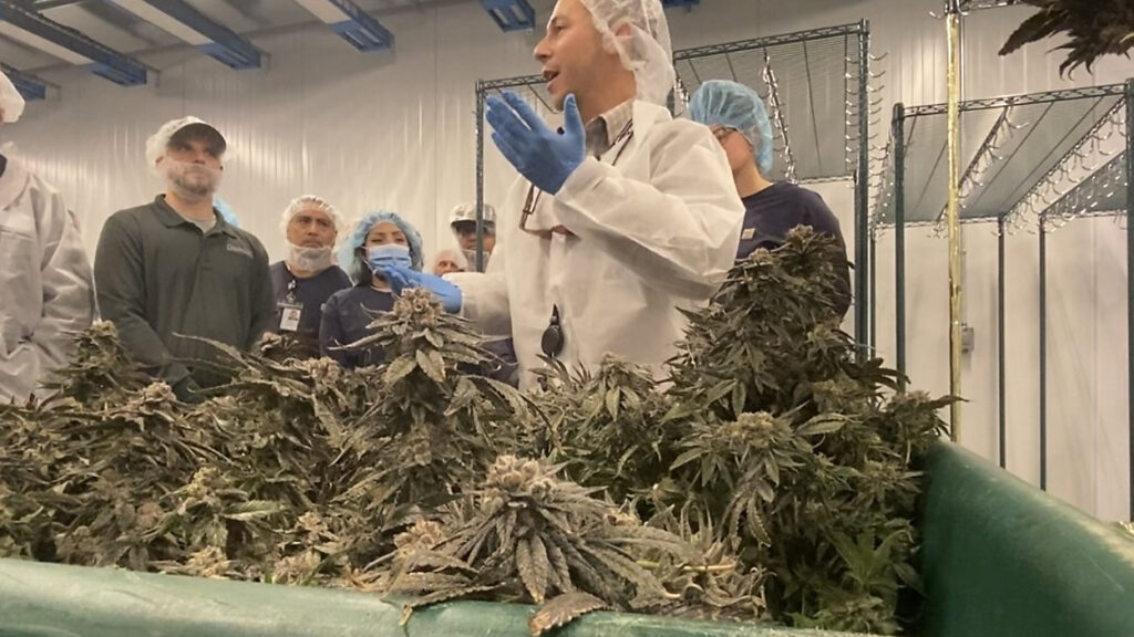 $130M grow facility expansion raises hopes in state's marijuana industry