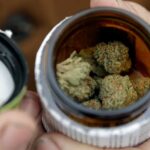 Growth of States Legalizing Recreational Marijuana