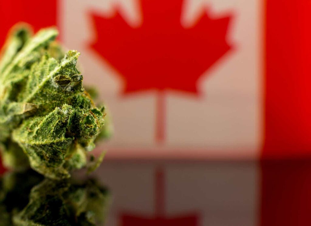Canadian cannabis sector dips five years since legalization