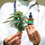 Survey: 65% Willing To Use Cannabis Under Guidance of Clinician
