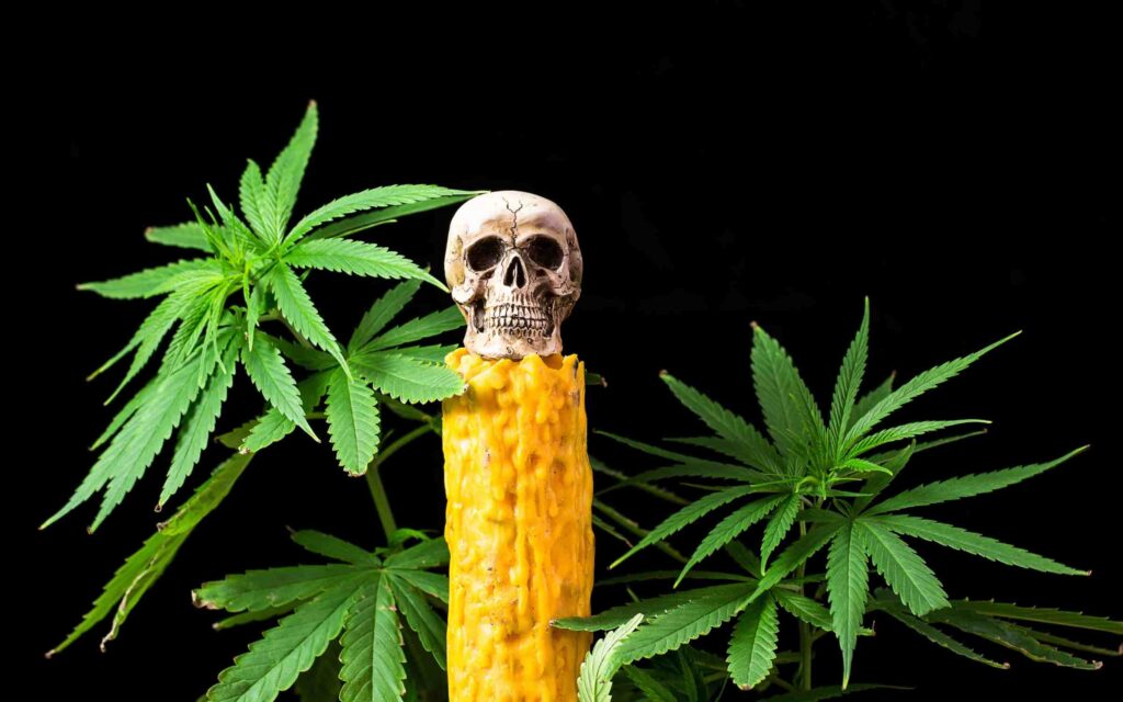 New Research Paper Showcases History of Cannabis Use, Including Necromancy