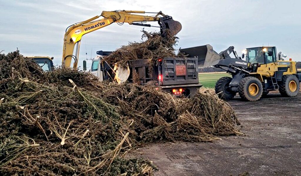 Oklahoma authorities seize 36 tons of illegally grown marijuana, one of state's biggest hauls