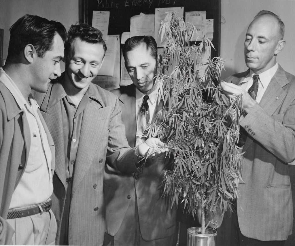 Local history: Akron experienced reefer madness in 20th century