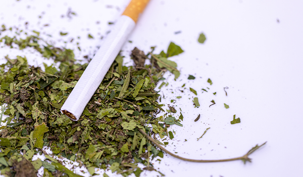 Pain Drives Dual Tobacco and Cannabis Use, Study Shows