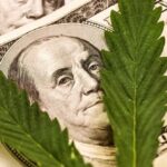 Cannabis MSOs largely outperformed quarterly expectations: analyst