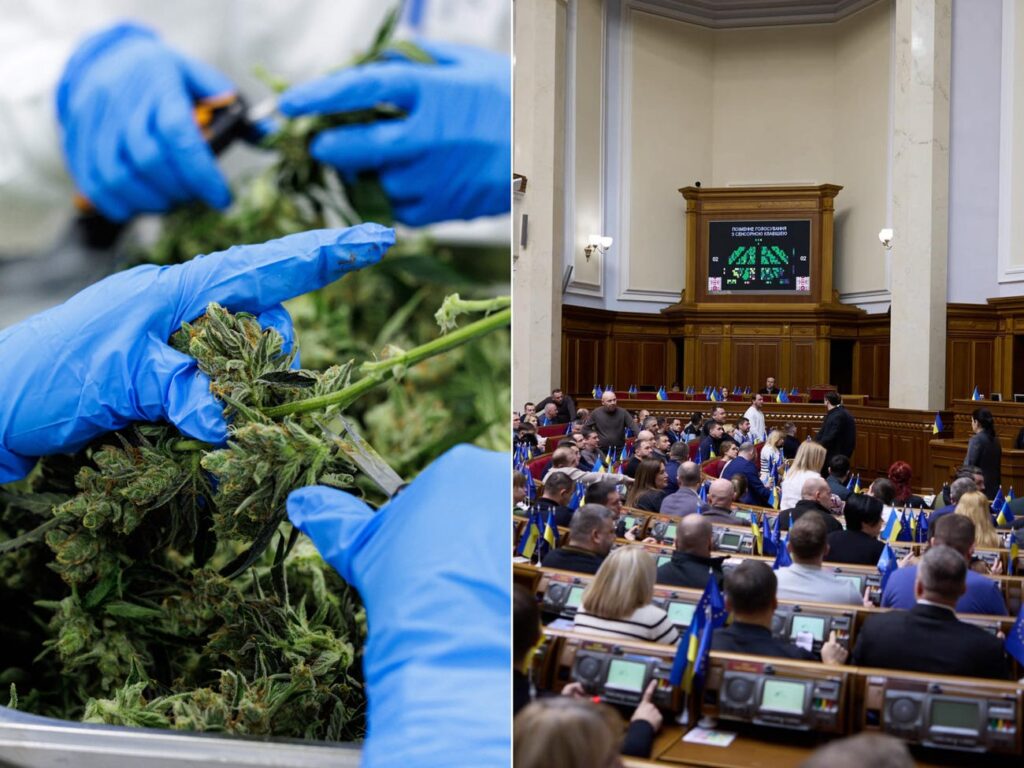 Ukraine is legalizing medicinal marijuana to treat stress and cancer among war survivors