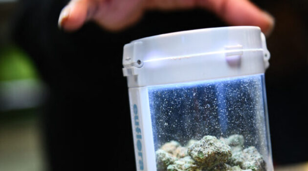 Big Weed today is a whole lot like Big Tobacco in the 1950s