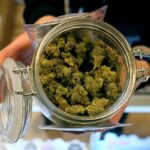 Does a loophole in Minnesota’s new recreational cannabis law permit the sale of higher potency cannabis flower by hemp retailers?