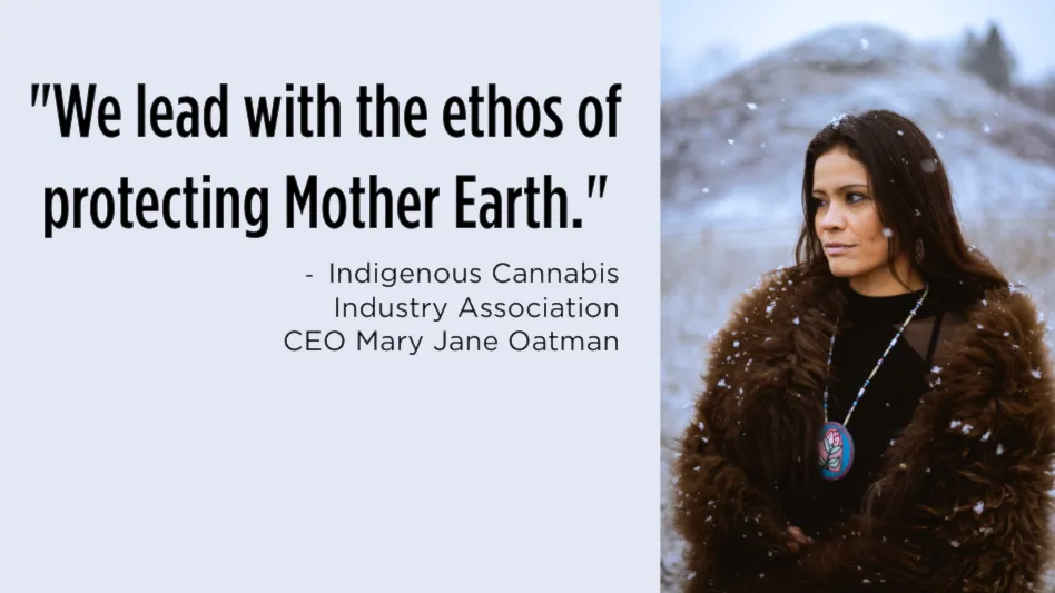 Indigenous Cannabis on the Rise