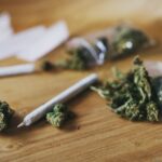 New York's Office of Cannabis Management outlines next steps for dispensaries