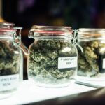 Florida inches closer to recreational marijuana with 2024 ballot initiative