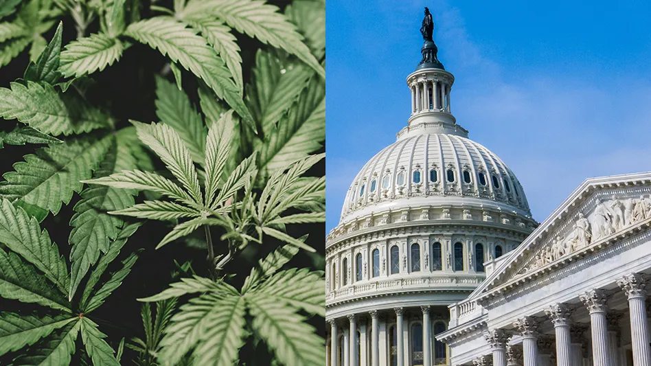 US Congressman Urges DEA to Expedite Rescheduling Cannabis