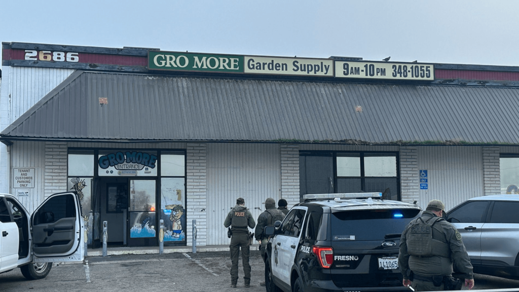 Over 500 pounds of unlicensed cannabis seized in raid at garden supply in Fresno