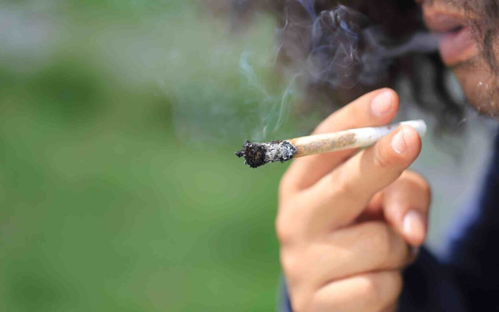 Newly Introduced Bill in Florida Proposes 10% Cap on Smokable THC Products