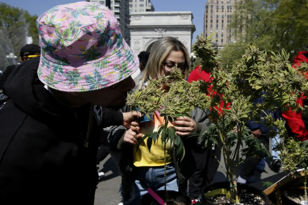 Is New York’s weed law flawed? Brooklyn DA backs off cannabis possession charges