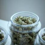 Struggling with oversaturation, Oregon's cannabis industry calls for new restrictions