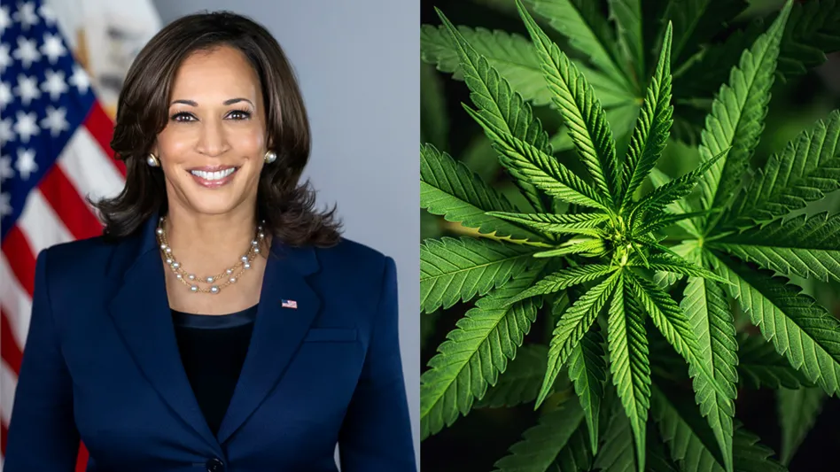 VP Kamala Harris Touts Changing ‘Federal Marijuana Policy’ in Campaign Video