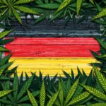 Germany Approves Cannabis Reform Plan: Possession Legal April 1
