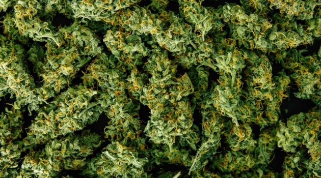 Connecticut To Show Price Per Gram of Flower Online