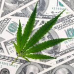 Arizona Weed Sales Topped $1.4 Billion Last Year