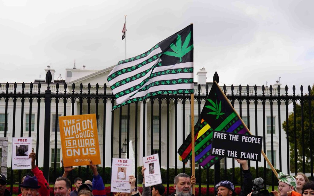 Pew Survey Finds 9 in 10 Americans Support Pot Legalization