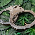 Massachusetts Governor Announces Plan To Pardon Cannabis Misdemeanors